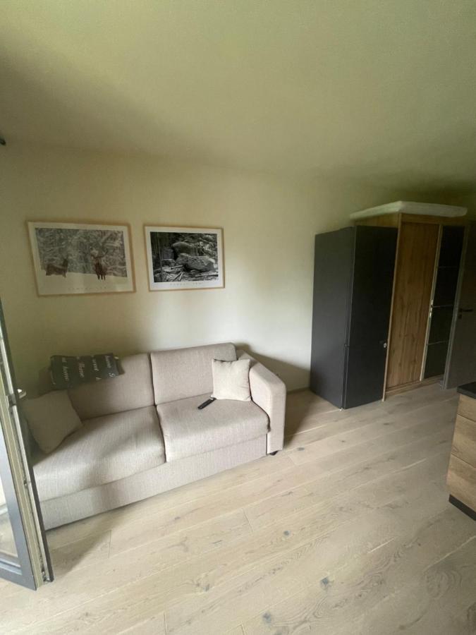 Apartman Pod Jasanem Hojsova Straz Brcalnik Appartement Železná Ruda Buitenkant foto