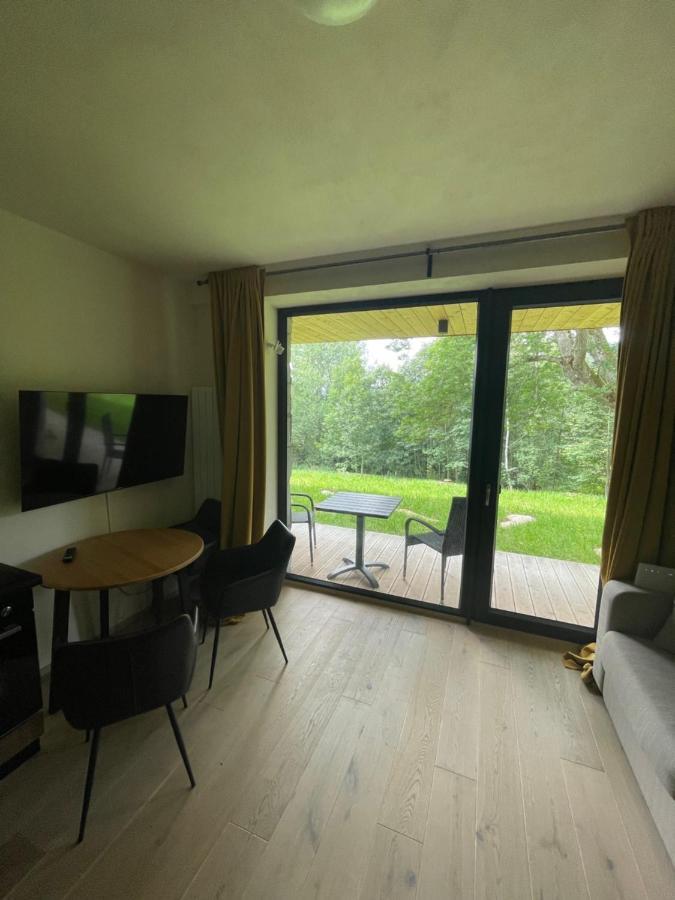 Apartman Pod Jasanem Hojsova Straz Brcalnik Appartement Železná Ruda Buitenkant foto