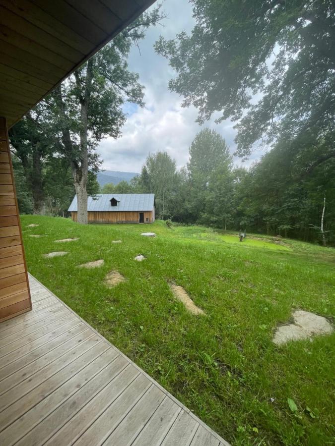 Apartman Pod Jasanem Hojsova Straz Brcalnik Appartement Železná Ruda Buitenkant foto