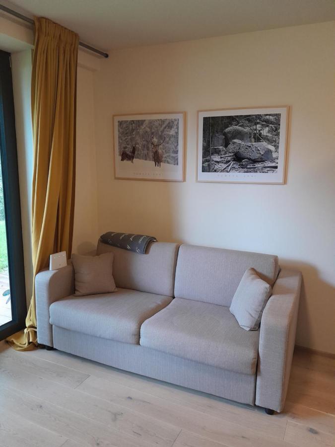 Apartman Pod Jasanem Hojsova Straz Brcalnik Appartement Železná Ruda Buitenkant foto