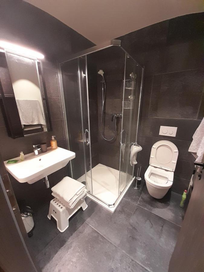 Apartman Pod Jasanem Hojsova Straz Brcalnik Appartement Železná Ruda Buitenkant foto