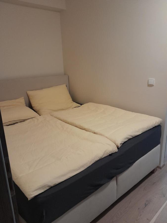 Apartman Pod Jasanem Hojsova Straz Brcalnik Appartement Železná Ruda Buitenkant foto