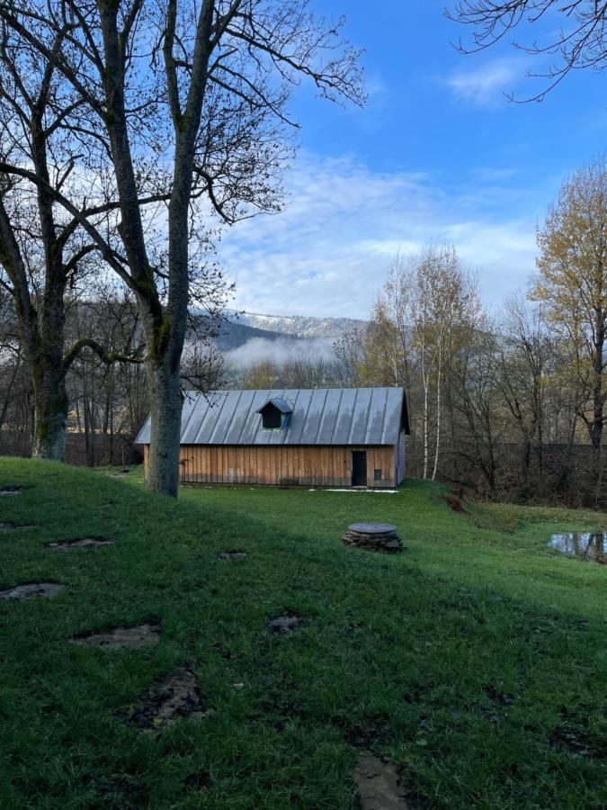Apartman Pod Jasanem Hojsova Straz Brcalnik Appartement Železná Ruda Buitenkant foto