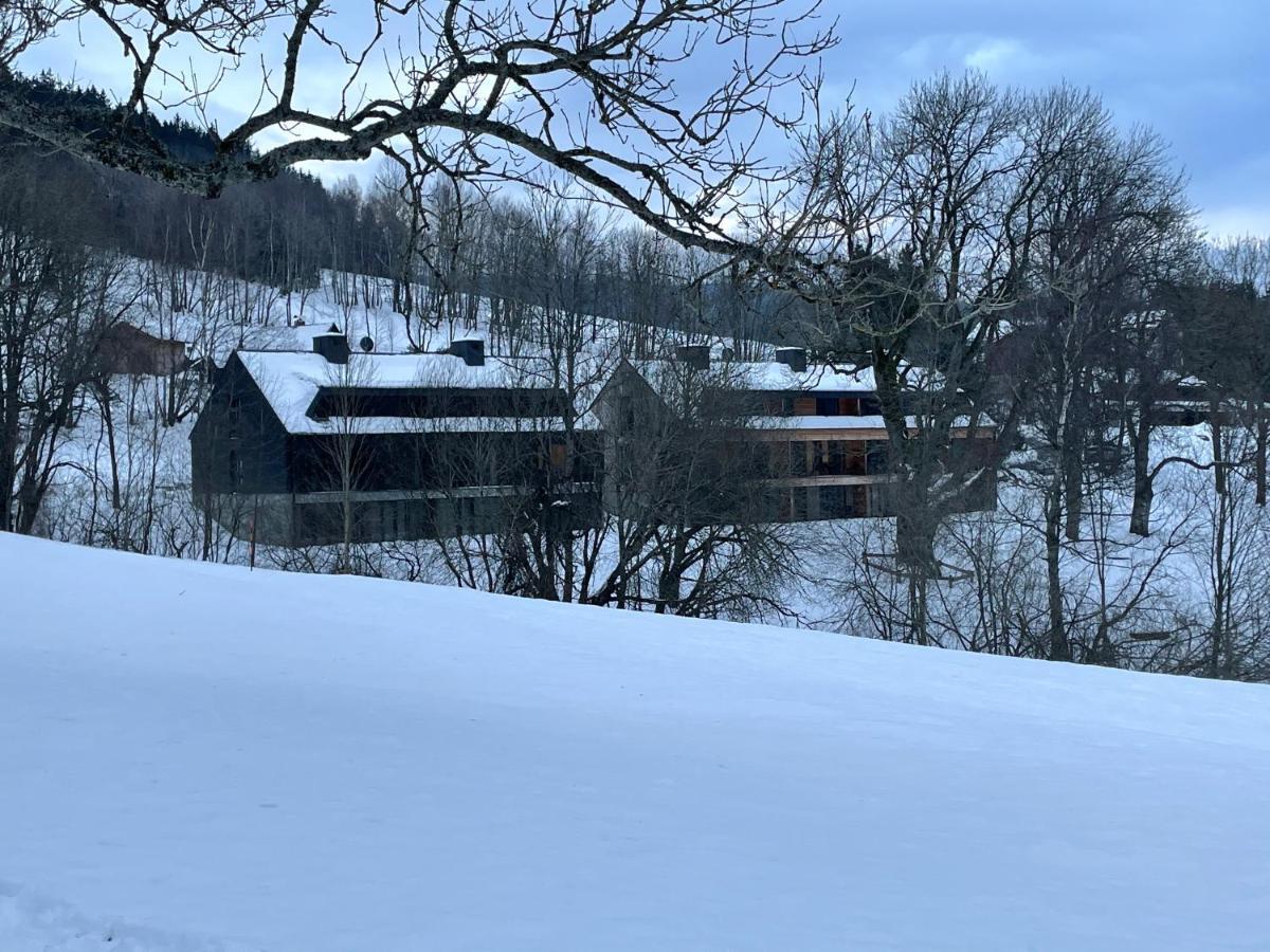 Apartman Pod Jasanem Hojsova Straz Brcalnik Appartement Železná Ruda Buitenkant foto