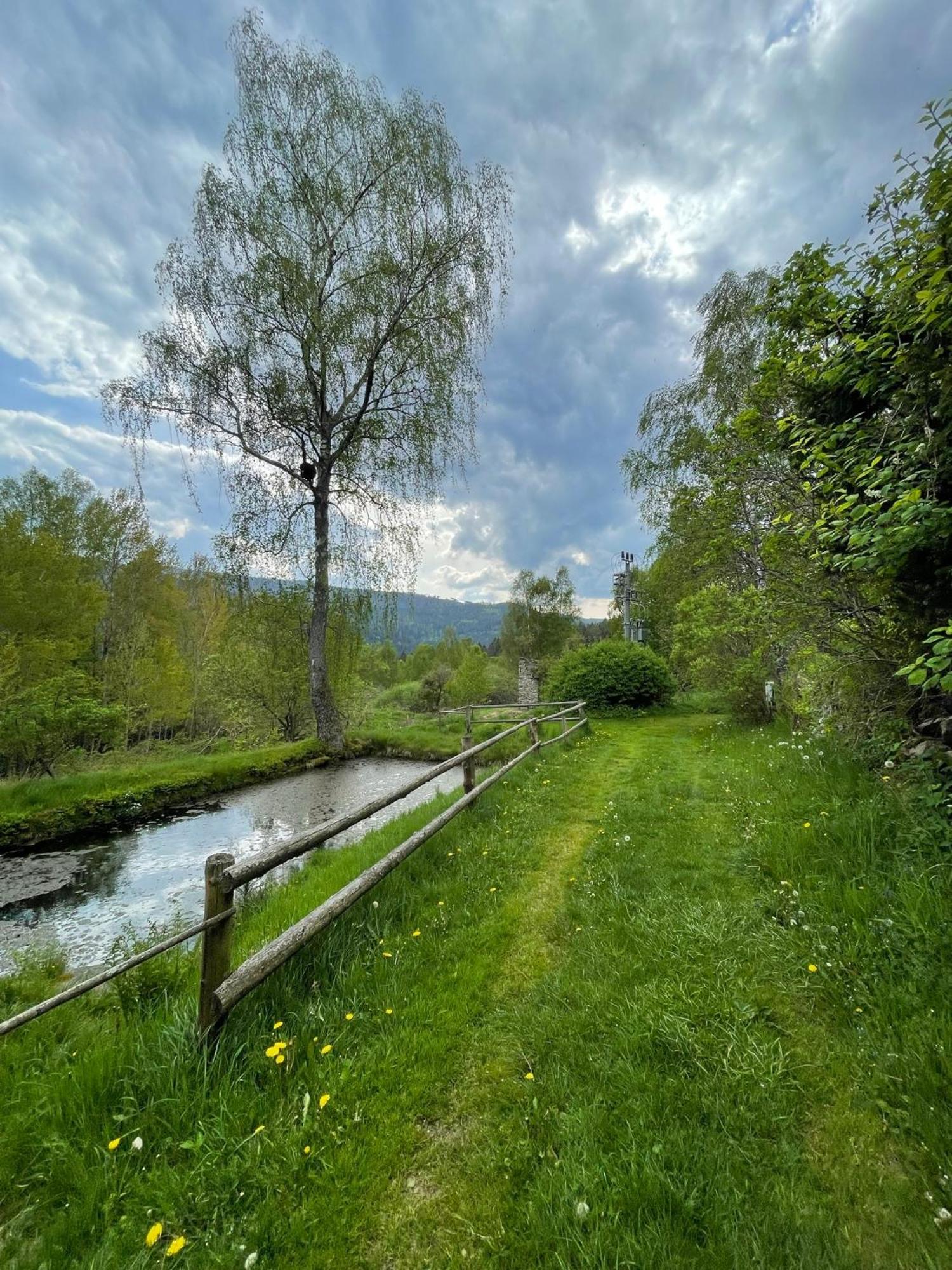 Apartman Pod Jasanem Hojsova Straz Brcalnik Appartement Železná Ruda Buitenkant foto